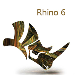 Rhino 6